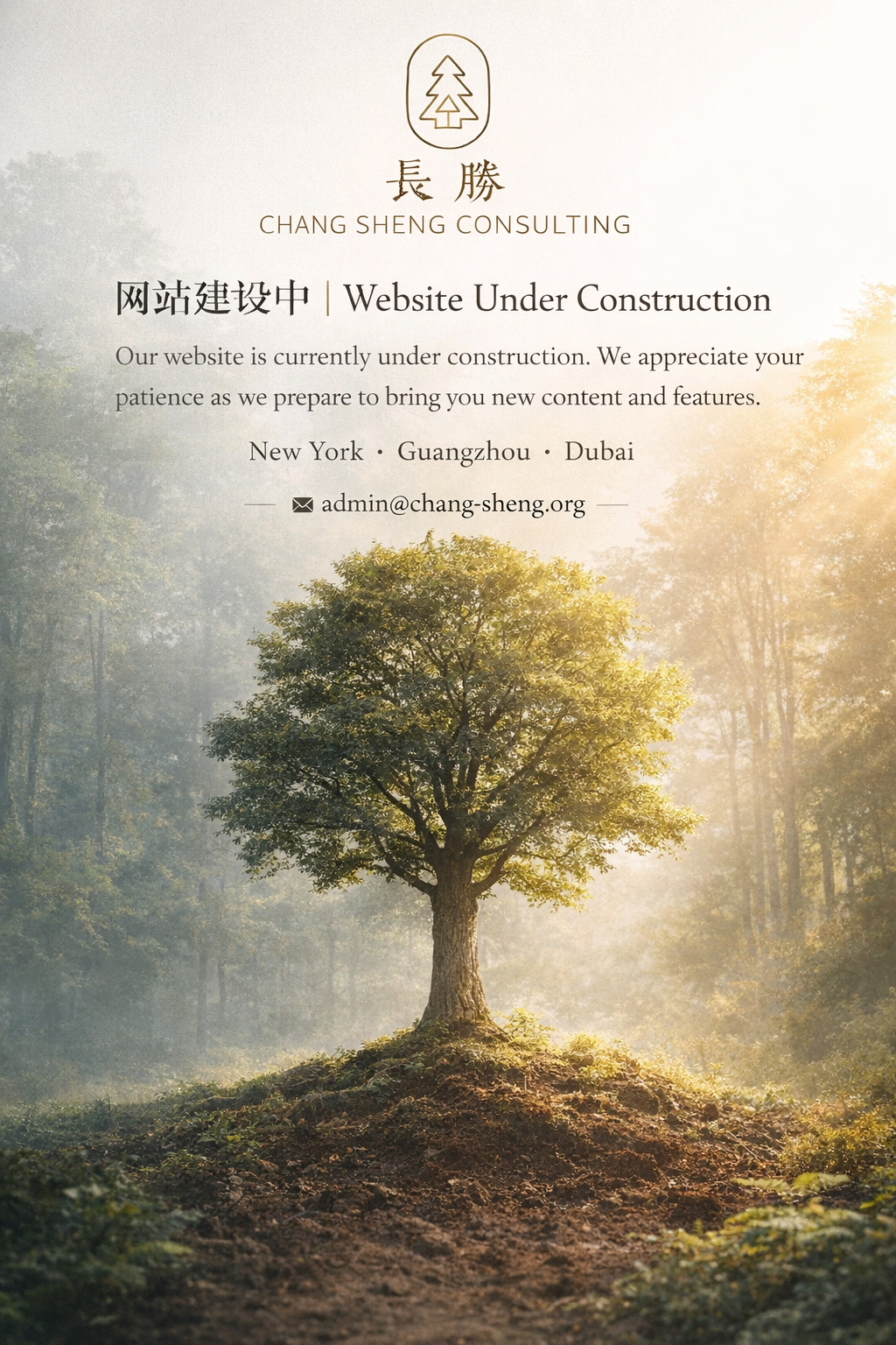 Chang Sheng Consulting